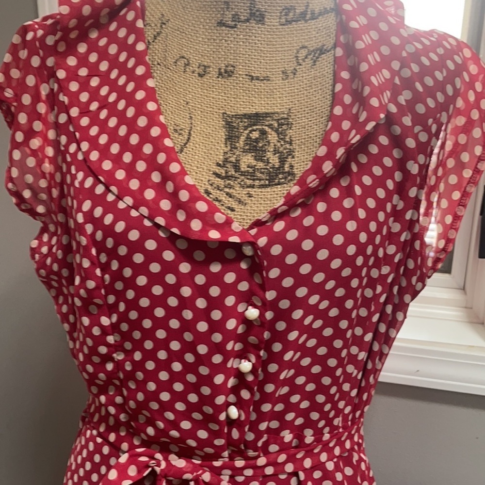 Beautiful 50’s inspired polka dot dress! - Picture 3 of 7